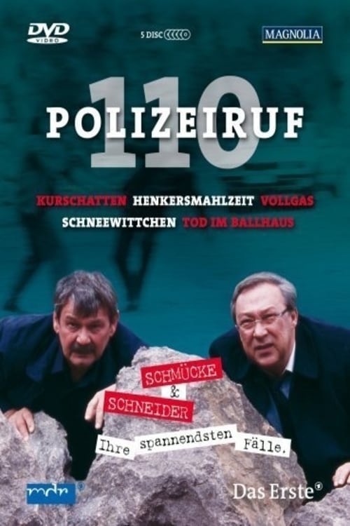постер Телефон полиции – 110